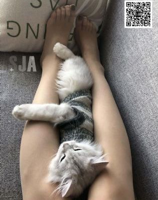 久久精品国产亚洲av麻豆_剧情片免费观看视频